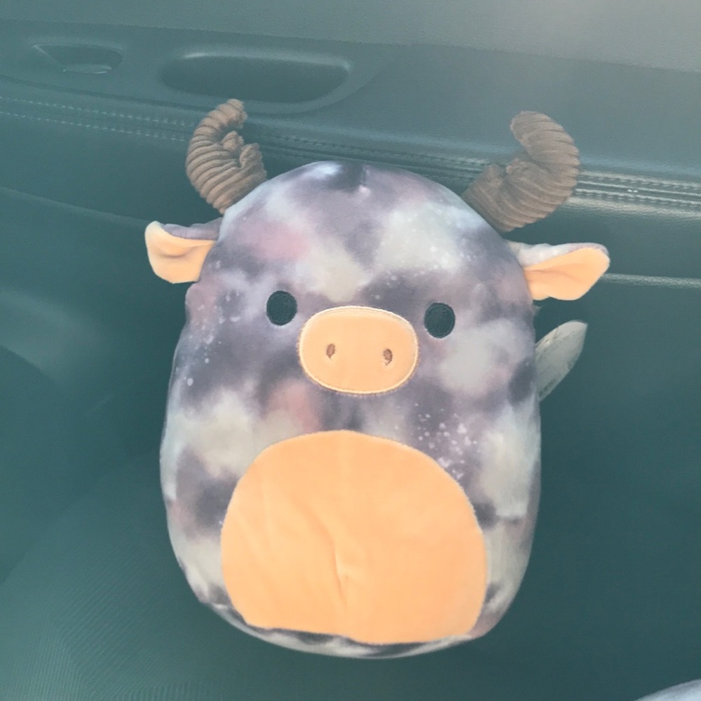 COPY - Rufus squishmellow